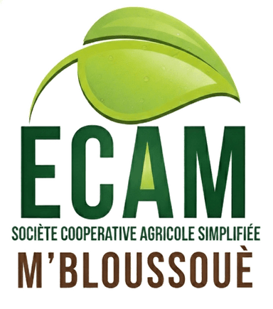 ECAM Logo