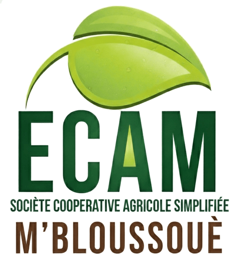 ECAM Coopérative